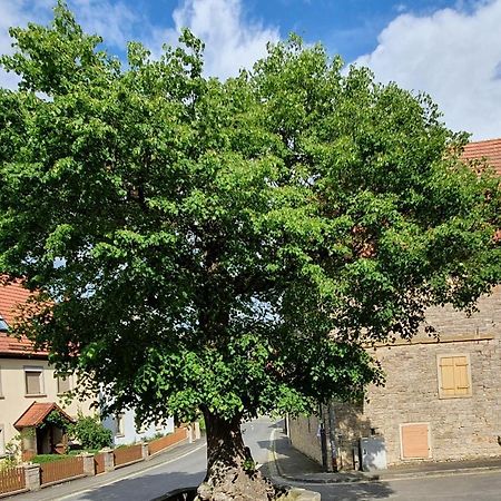 Ferienwohnung Zur Linde Dettelbach Dış mekan fotoğraf