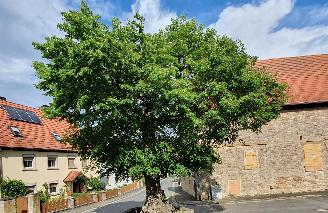 Ferienwohnung Zur Linde Dettelbach Dış mekan fotoğraf